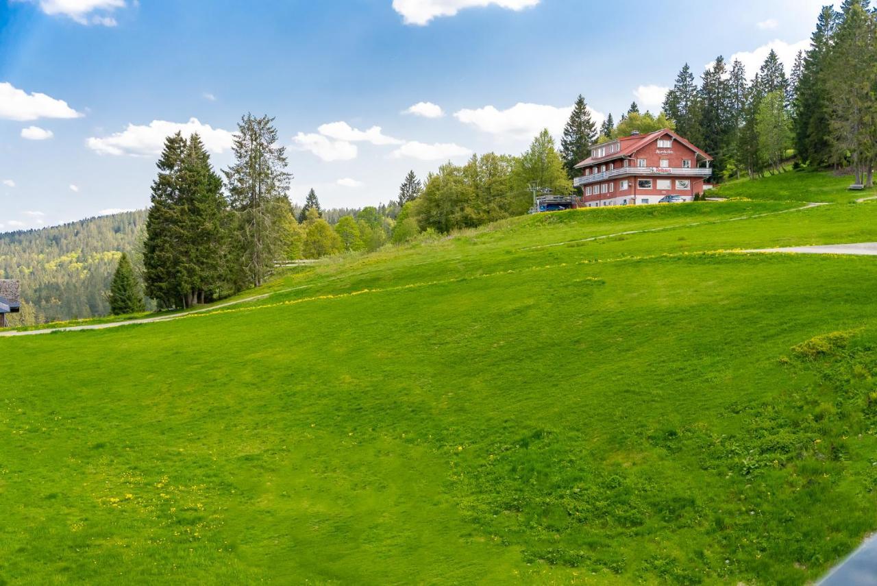Auerhuhn Leilighet Feldberg  Eksteriør bilde